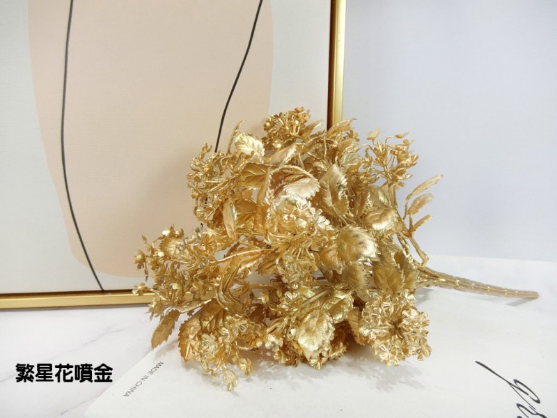 繁星花噴金(89)