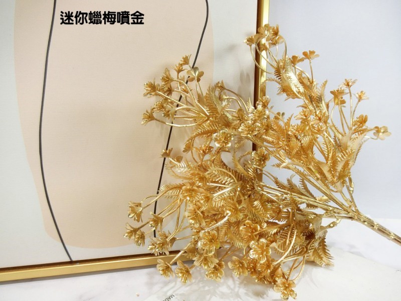 迷你蠟梅噴金(89)