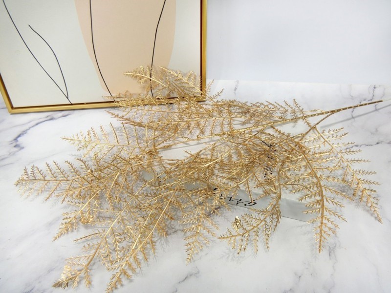 鐵絲蕨(7)噴金  鐵絲蘭