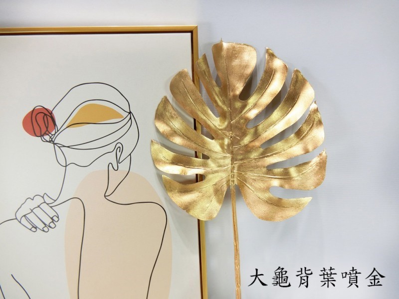 大龜背葉噴金(7)