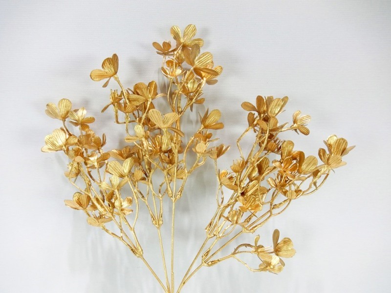 小花噴金(71)