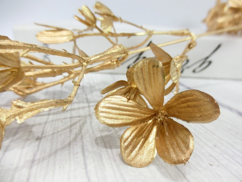 小花噴金(71)