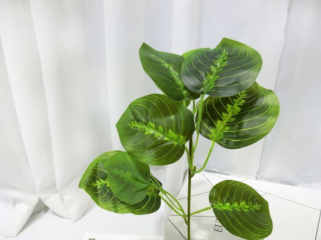 五叉竹芋葉小把(83)