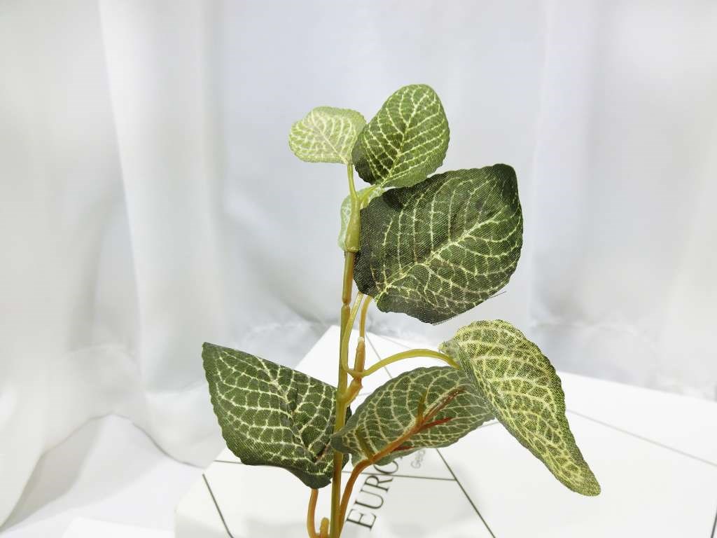 小網紋葉束(47)
