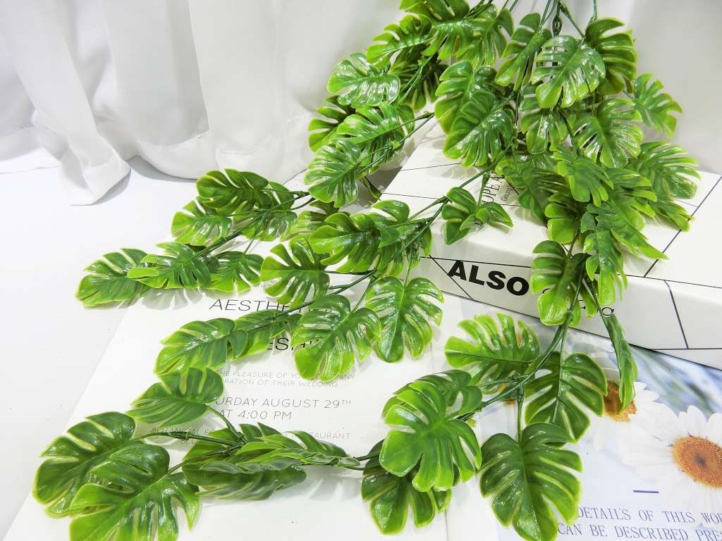 AL037 龜背葉壁掛藤條(7)