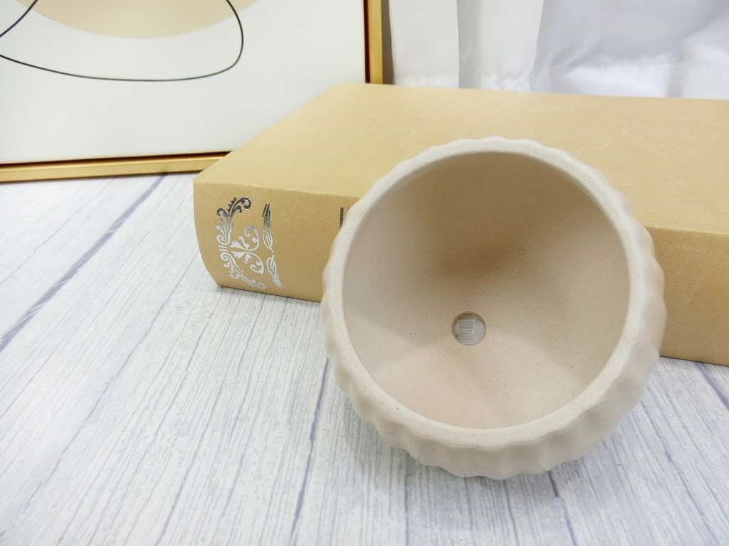 QL289陶瓷(306)杏