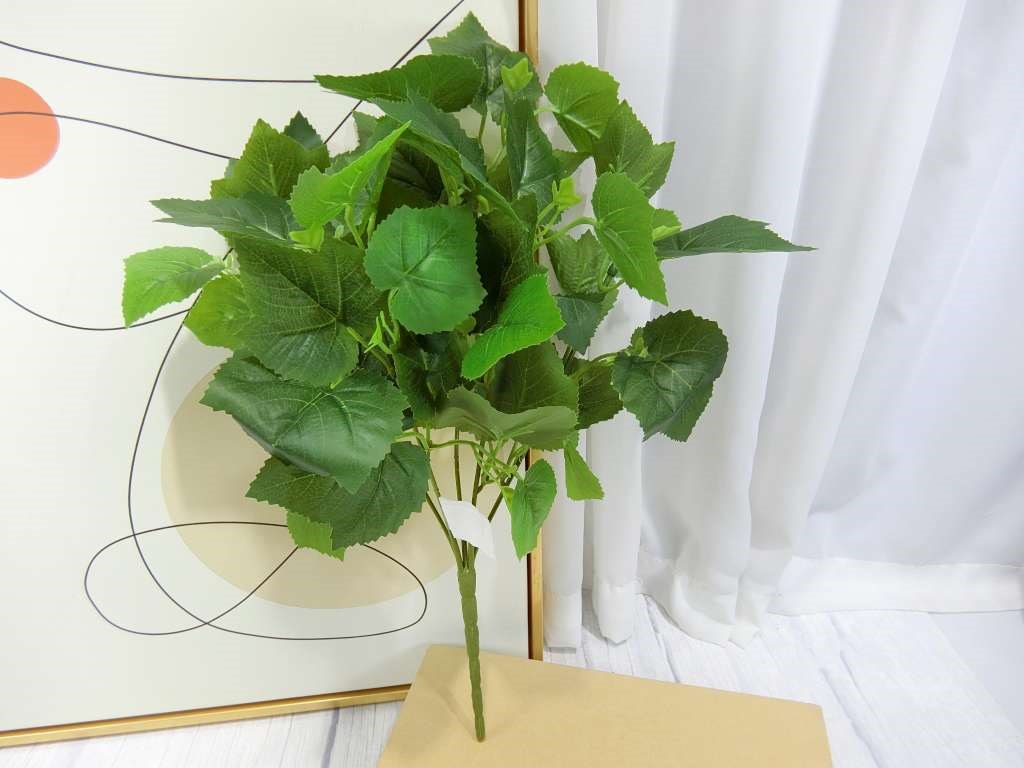 五叉蔓葡萄葉小把(83)