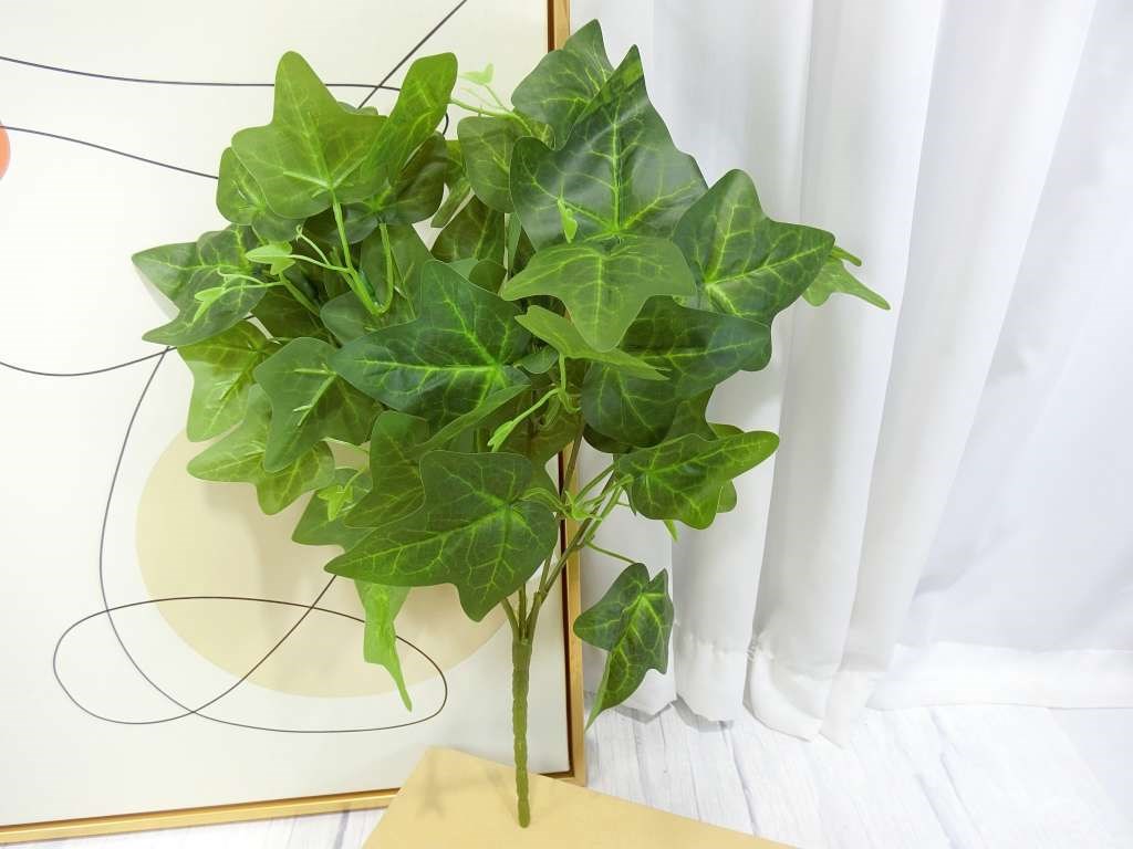 五叉地瓜葉小把(83)