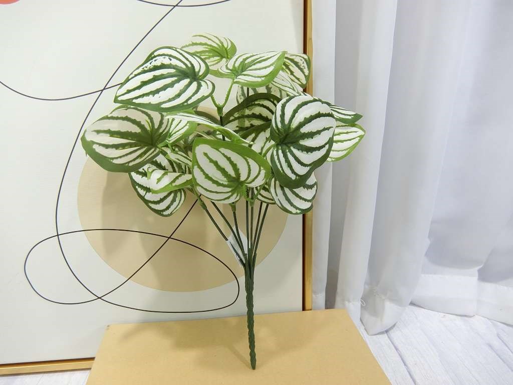 新五叉西瓜葉小小把(83)