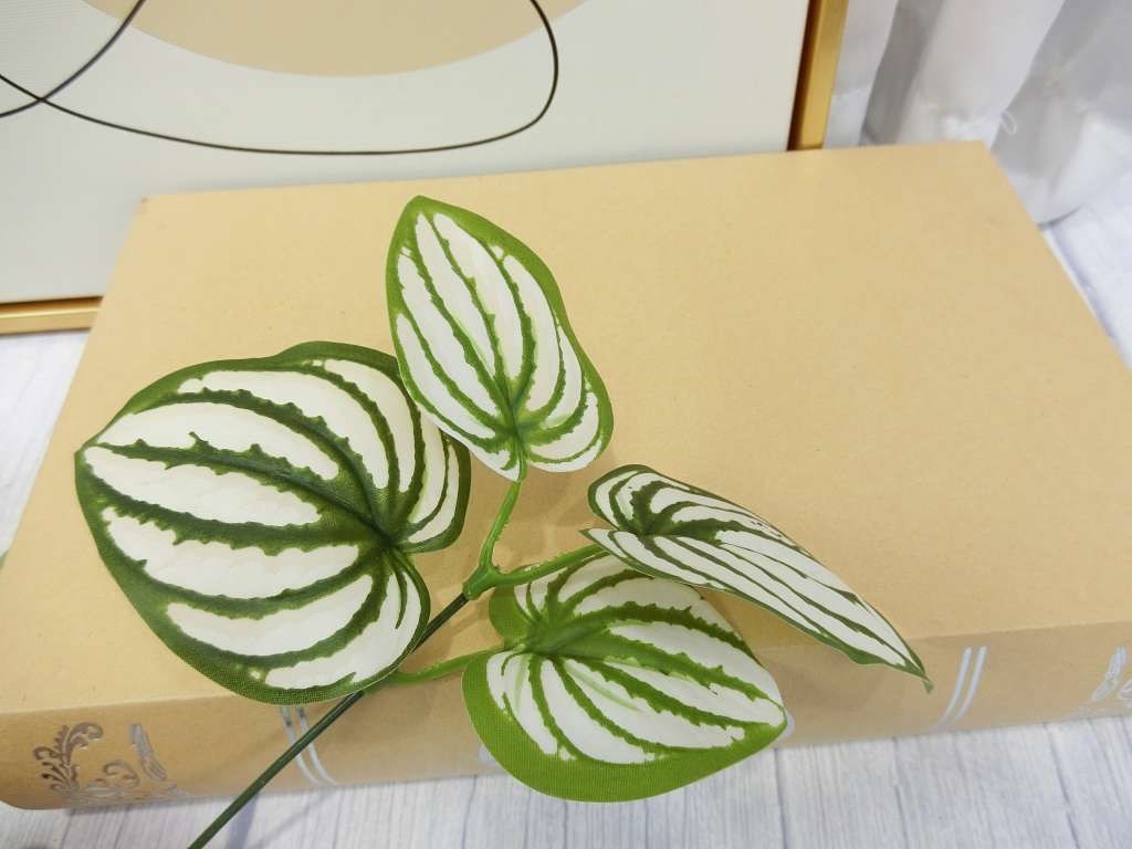 新五叉西瓜葉小小把(83)
