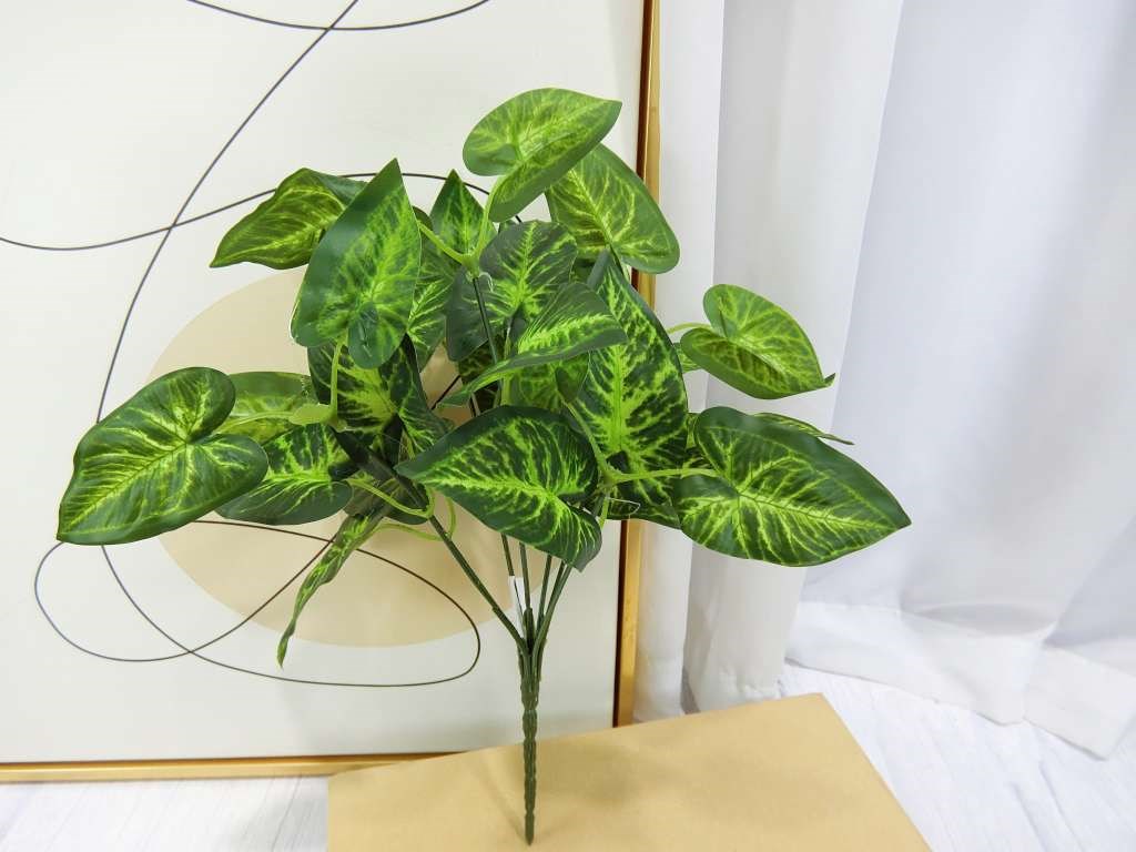 新五叉合果芋葉小小把(83)