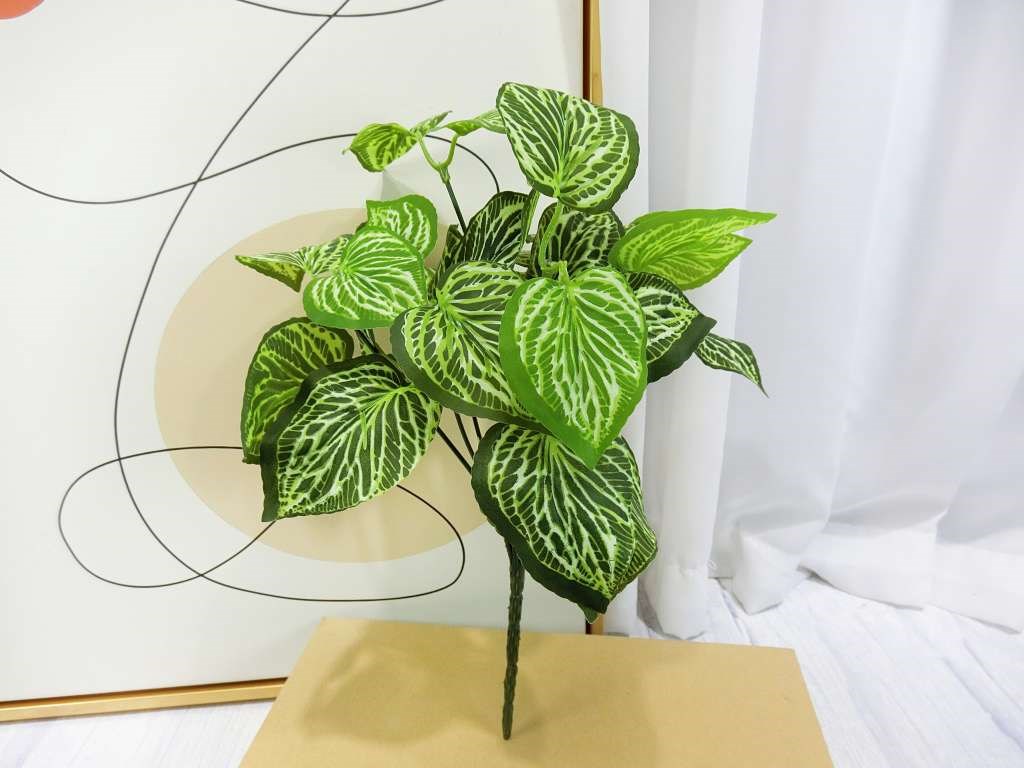 新五叉冷水草葉小小把(83)