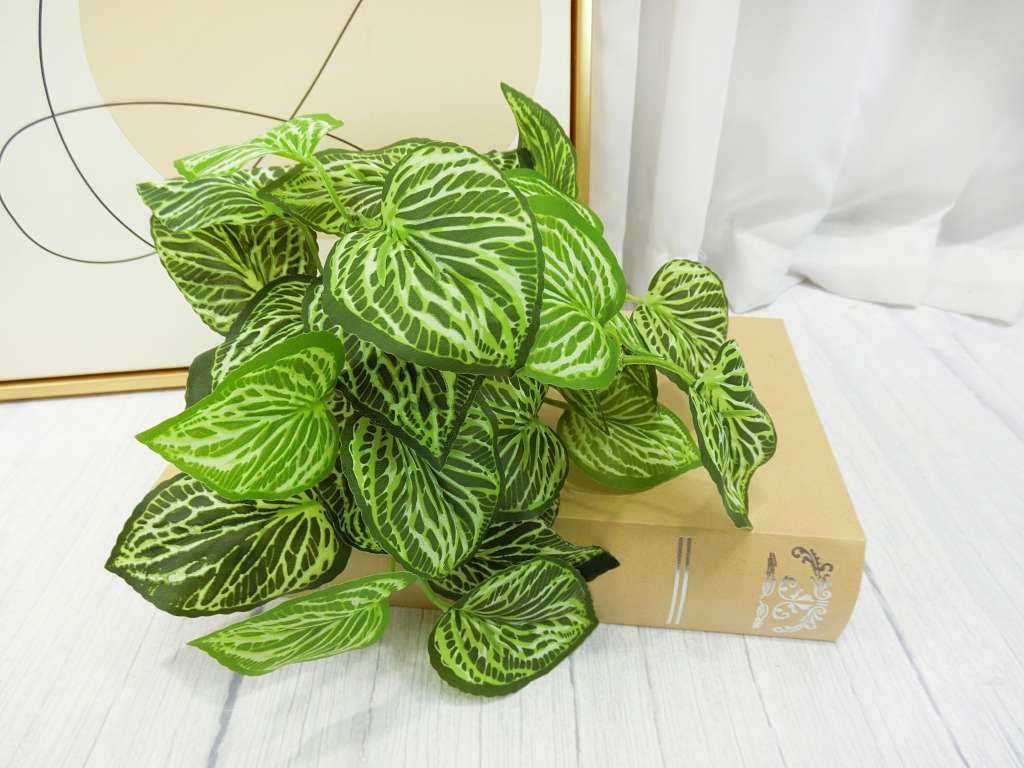新五叉冷水草葉小小把(83)