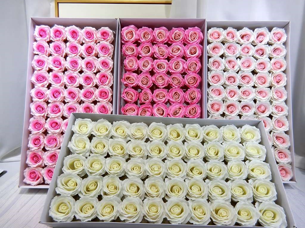 新曼塔玫瑰香皂花頭50入(202)