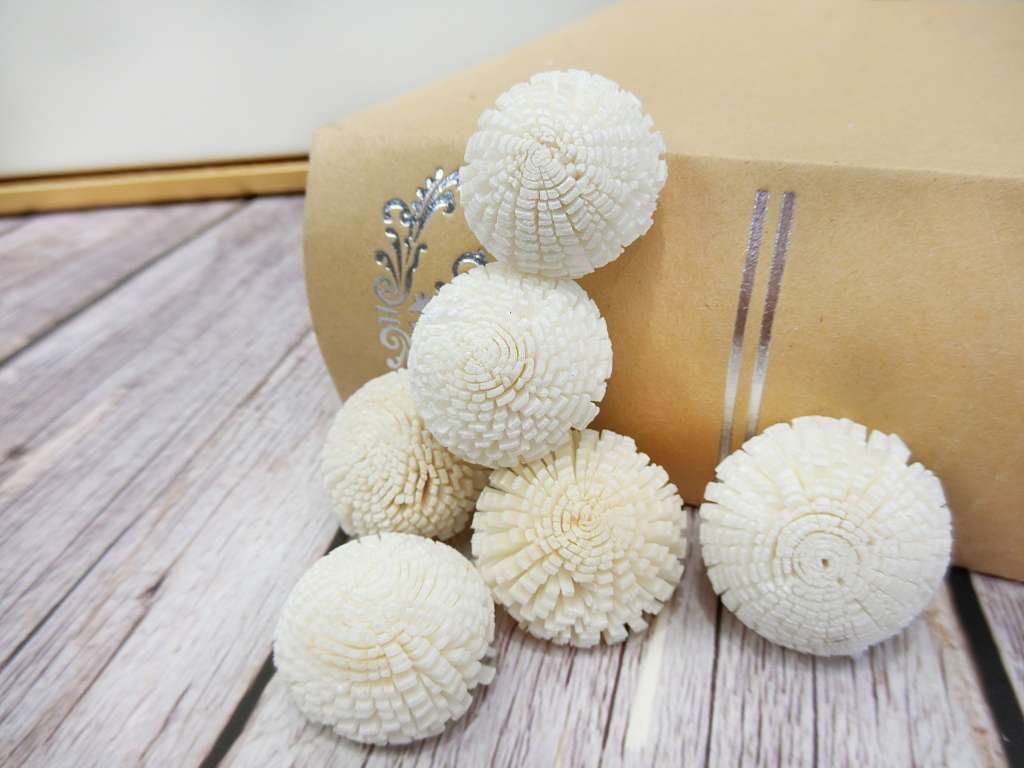 泰國索拉圓仔花2.5cm(10入)白
