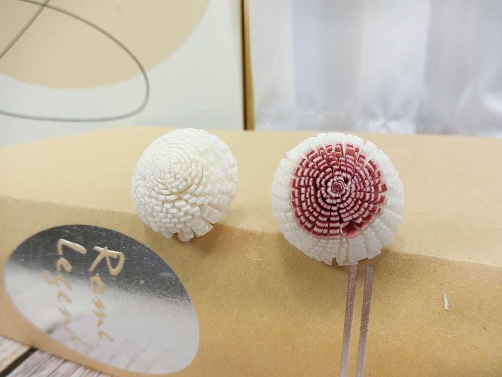 泰國索拉圓仔花2.5cm(10入)白