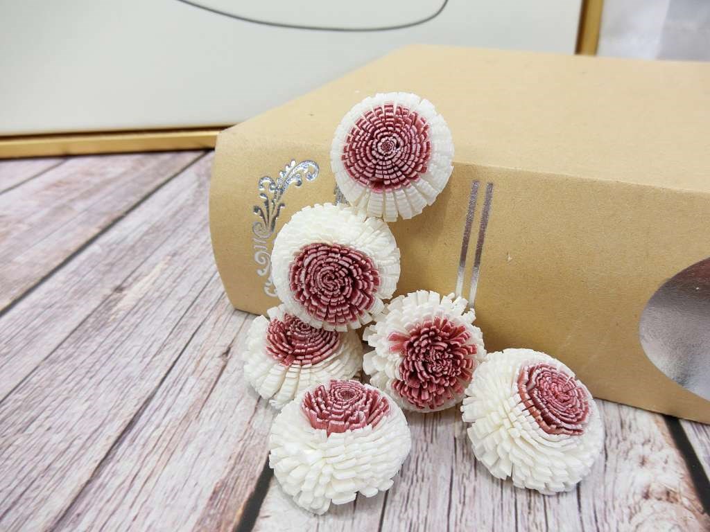 泰國索拉圓仔花2.5cm(10入)粉心