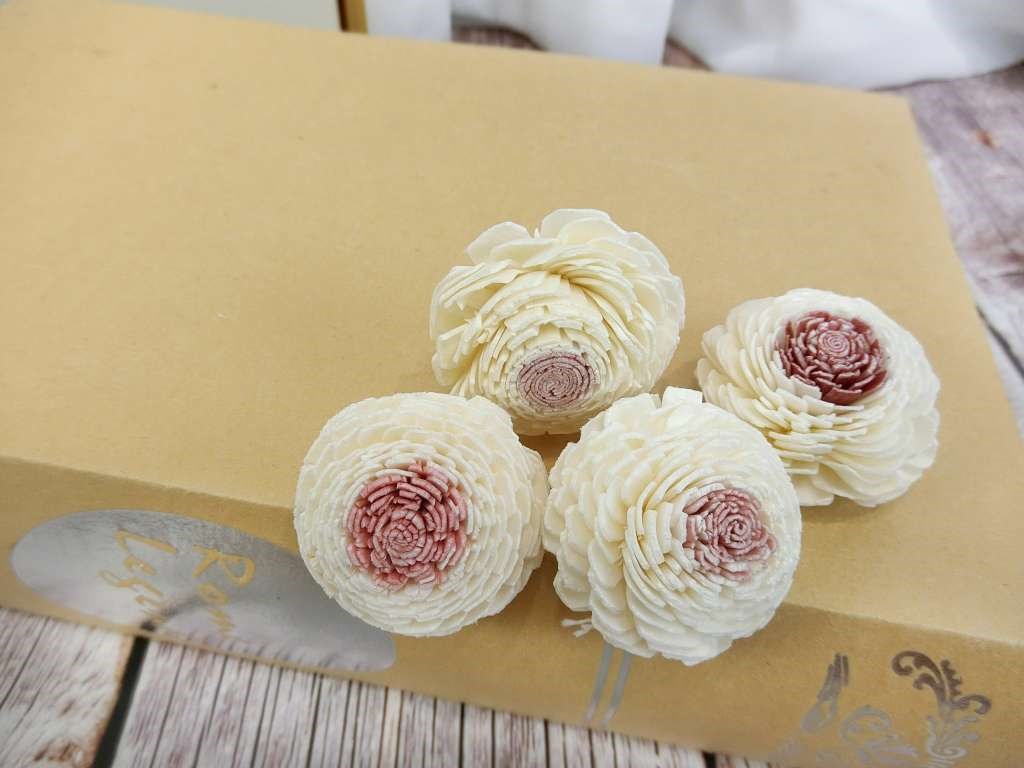 泰國貝力3.5cm(10入)粉心