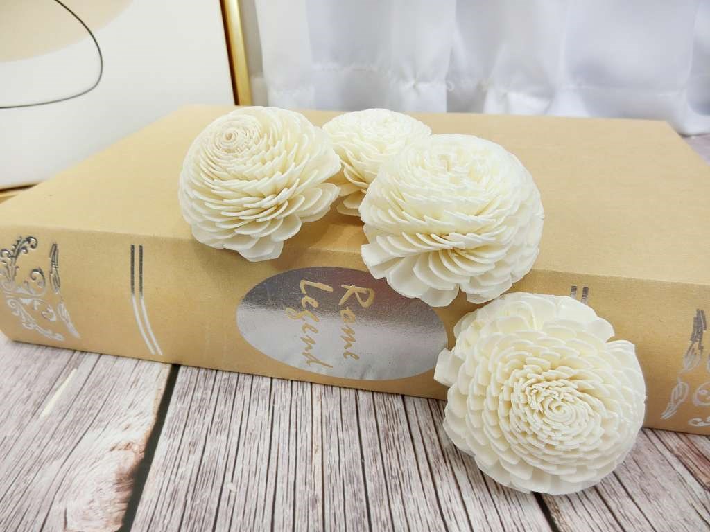 泰國貝力5cm(10入)白