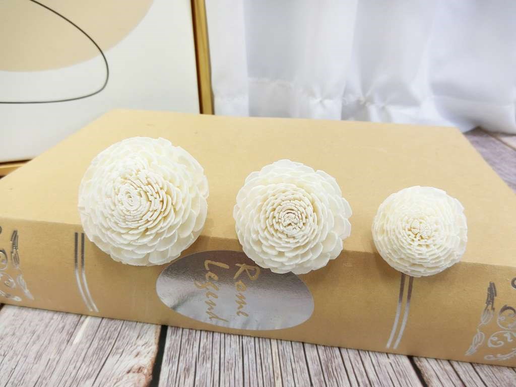 泰國貝力5cm(10入)白