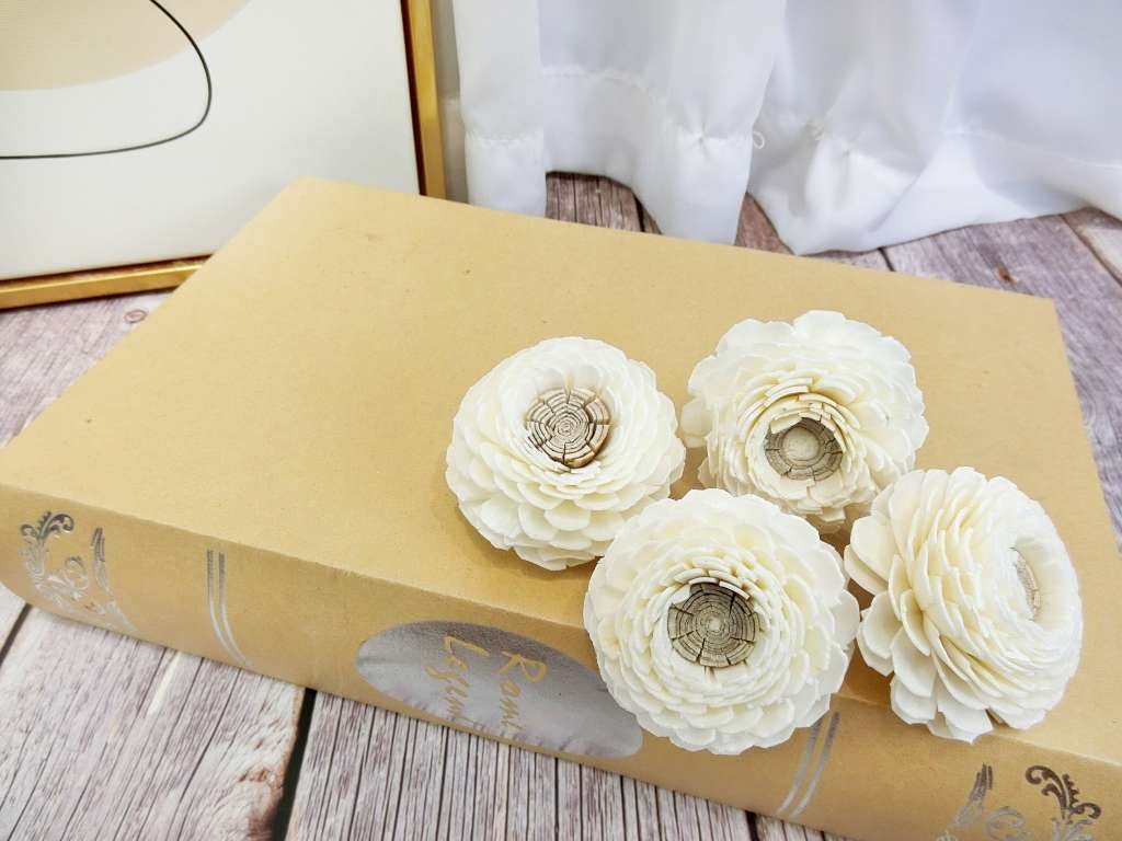 泰國陸蓮5cm(10入)白