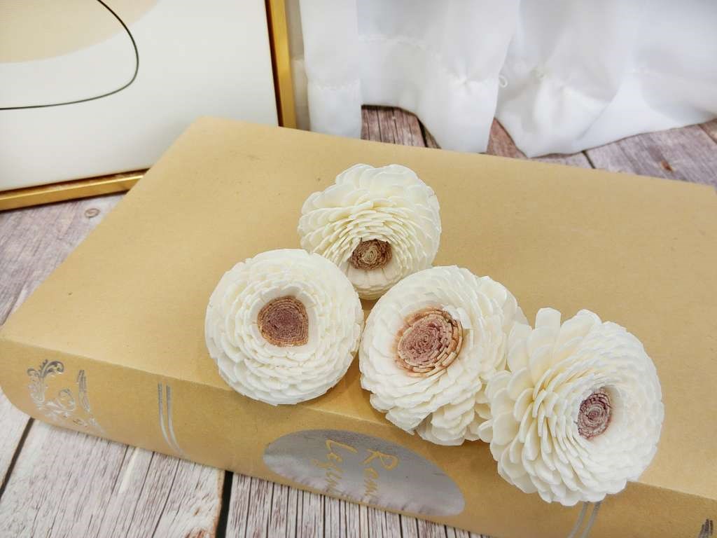 泰國陸蓮5cm(10入)粉心