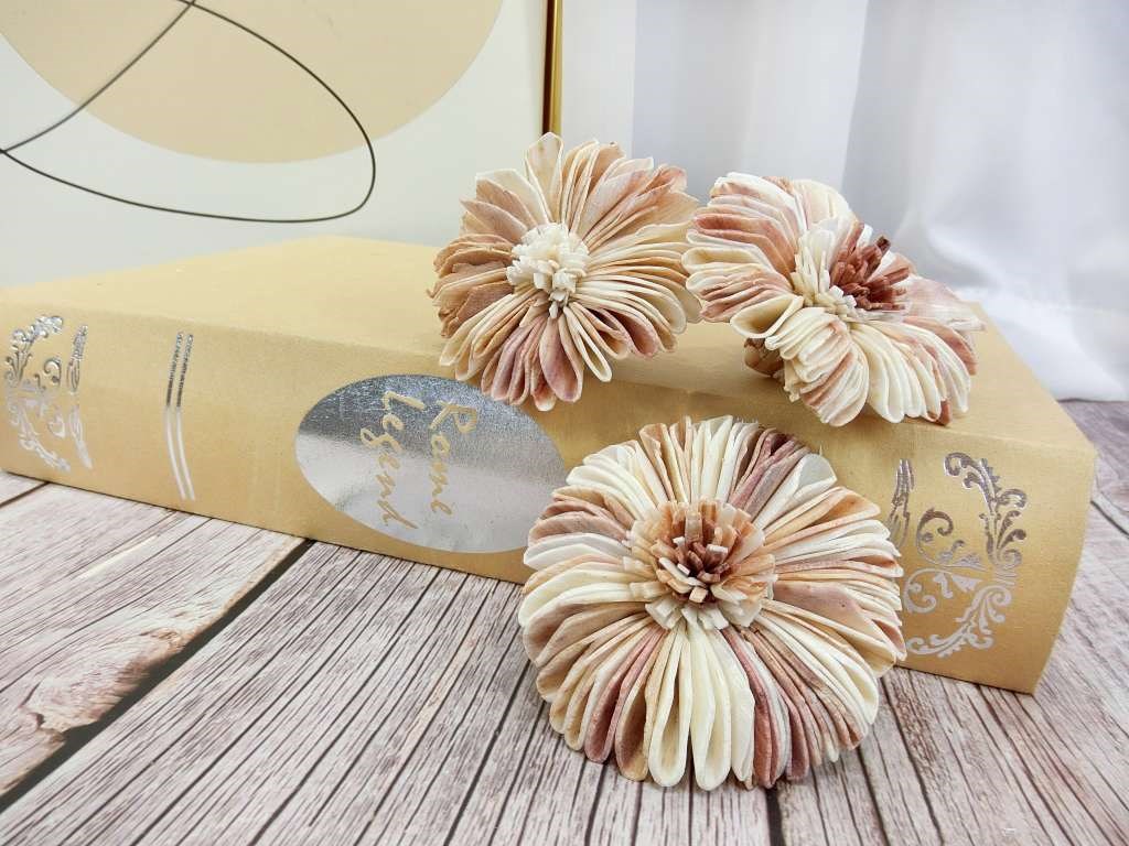 泰國雙色太陽花6cm(5入)白