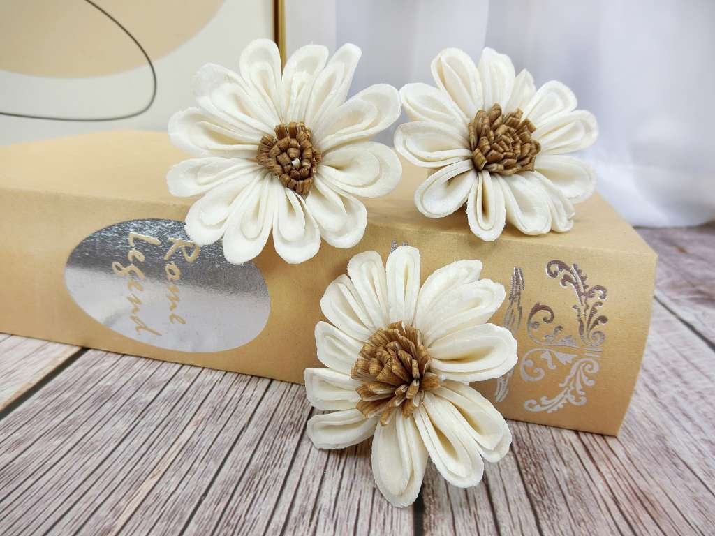 泰國木心太陽花6cm(5入)白