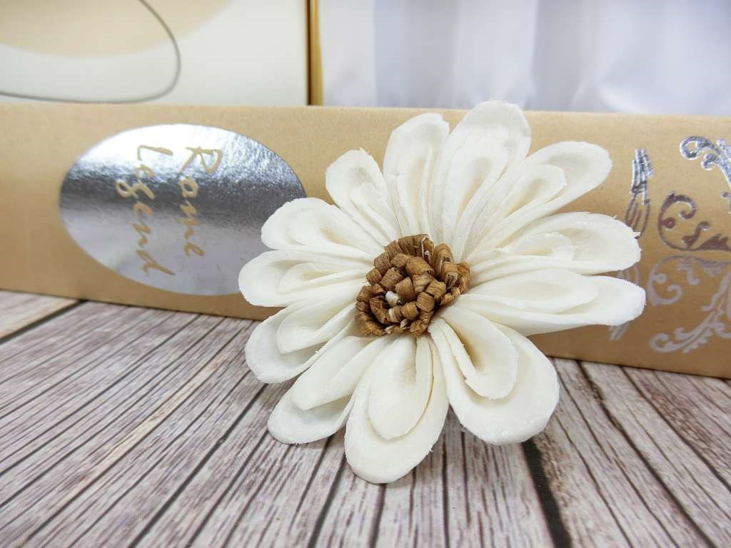 泰國木心太陽花6cm(5入)白