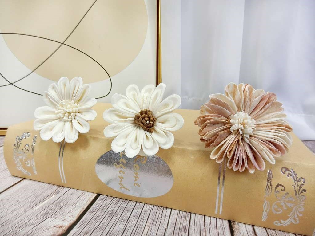 泰國新太陽花6cm(5入)白