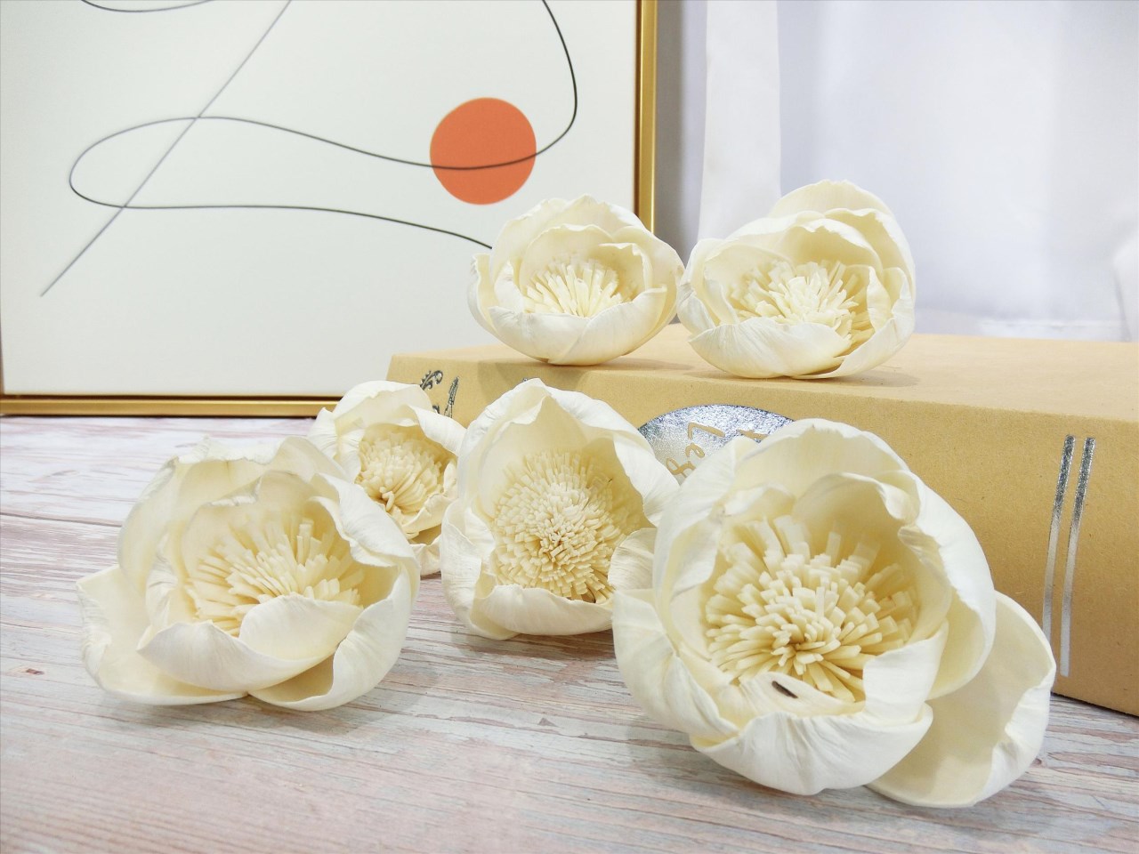 索拉牡丹花6cm(8)10入-白*