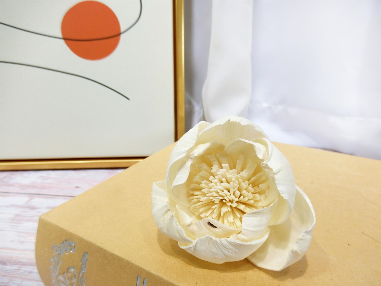 索拉牡丹花6cm(8)10入-白*