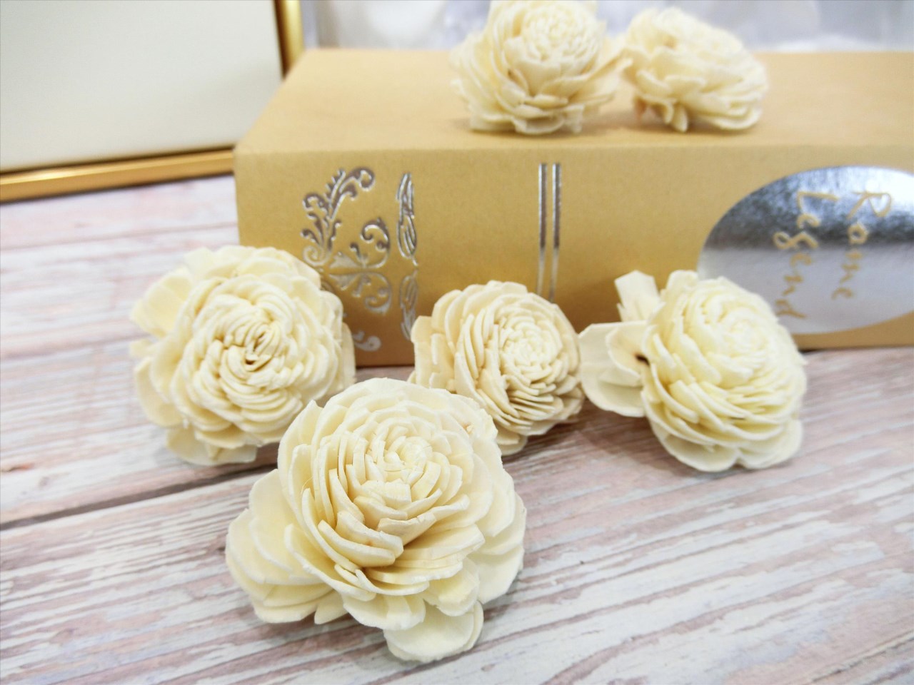 索拉貝力4cm(8)10入-白*