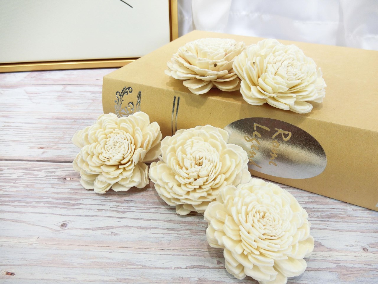 索拉貝力6cm(8)10入-白*