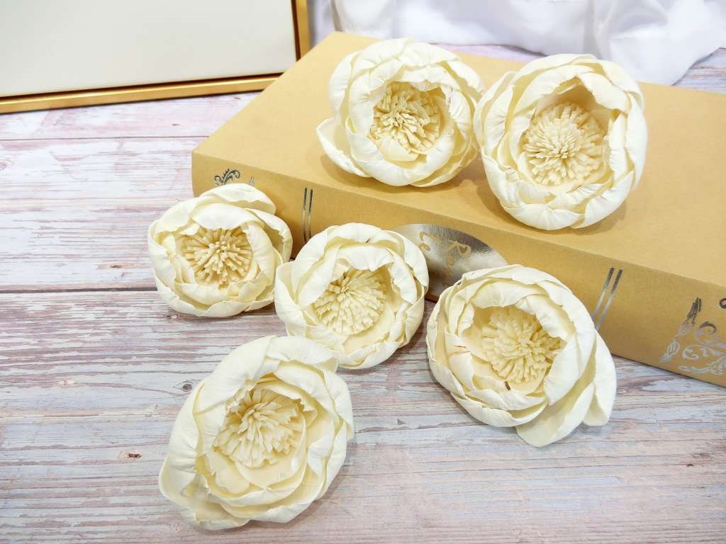索拉牡丹花8cm(8)10入-白*