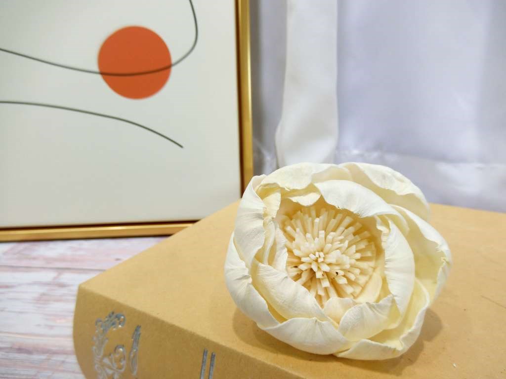 索拉牡丹花8cm(8)10入-白*