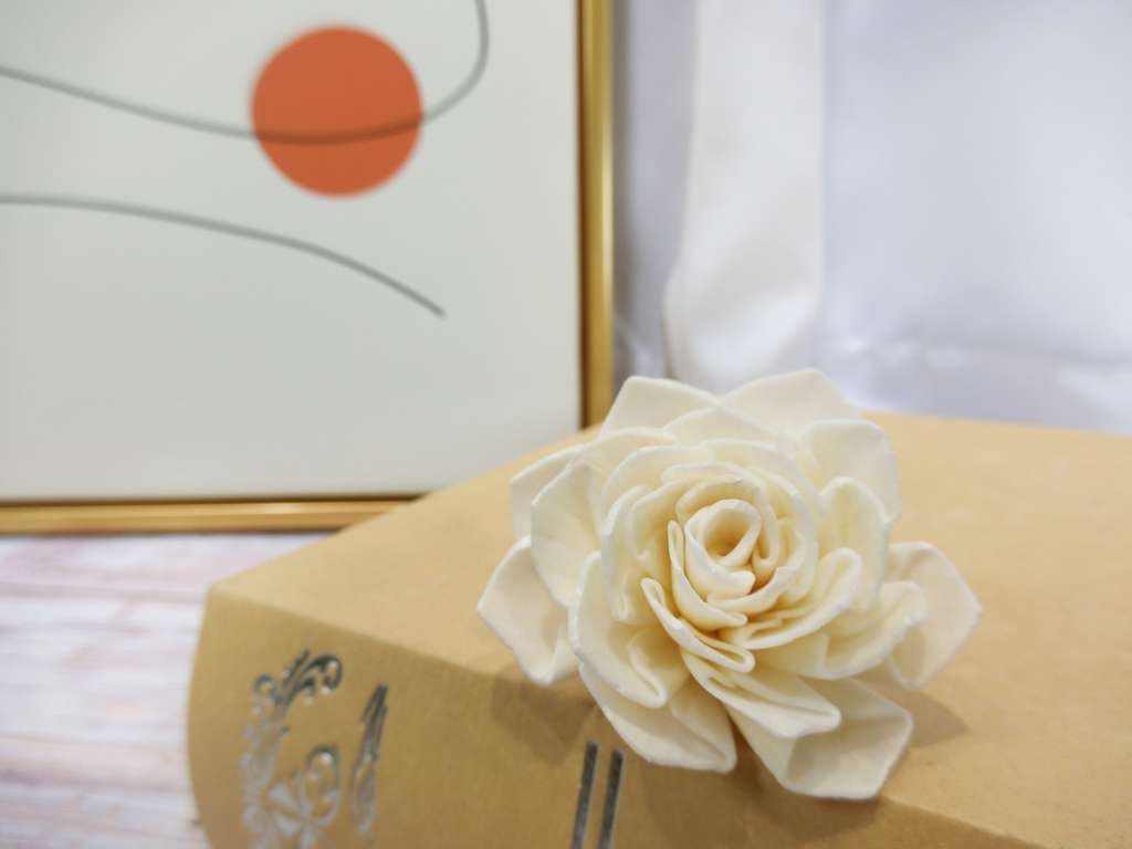 索拉大理花4cm(8)10入-白*