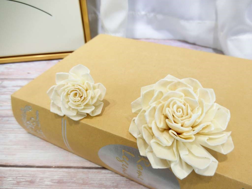索拉大理花4cm(8)10入-白*