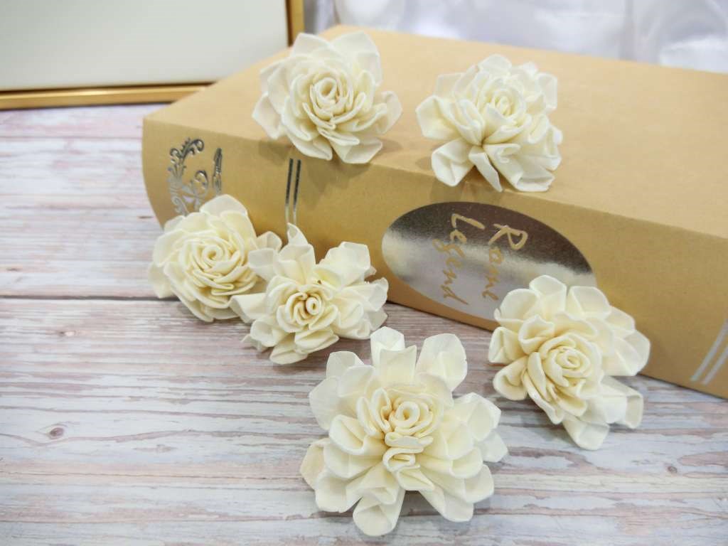 索拉大理花4cm(8)10入-白*