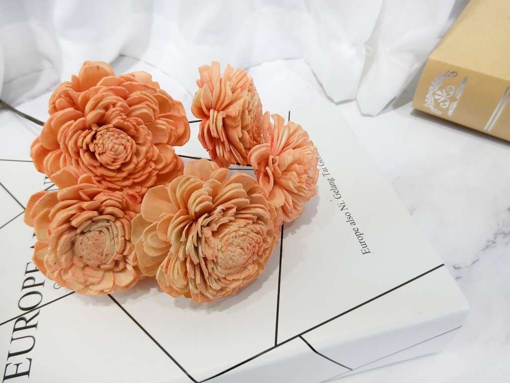 索拉貝力6cm(8)5入-染*