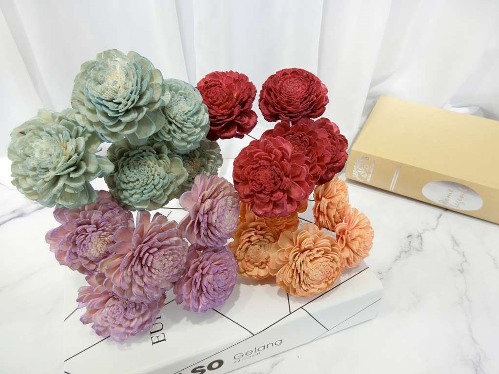 索拉貝力6cm(8)5入-染*