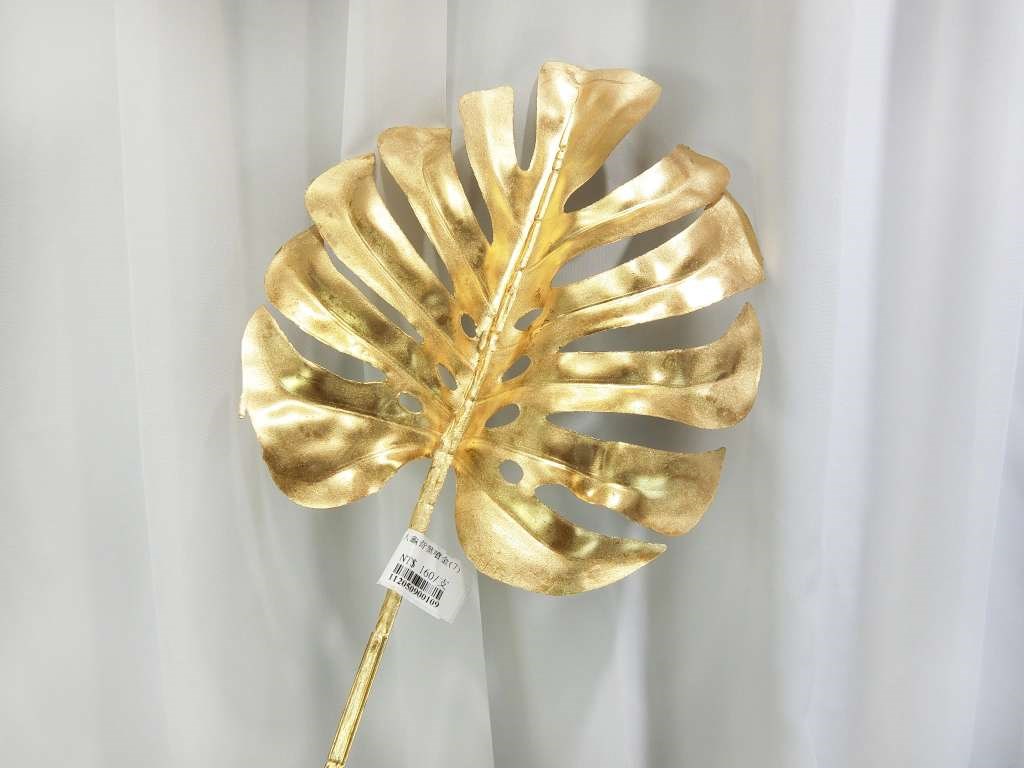 大龜背葉噴金(7)