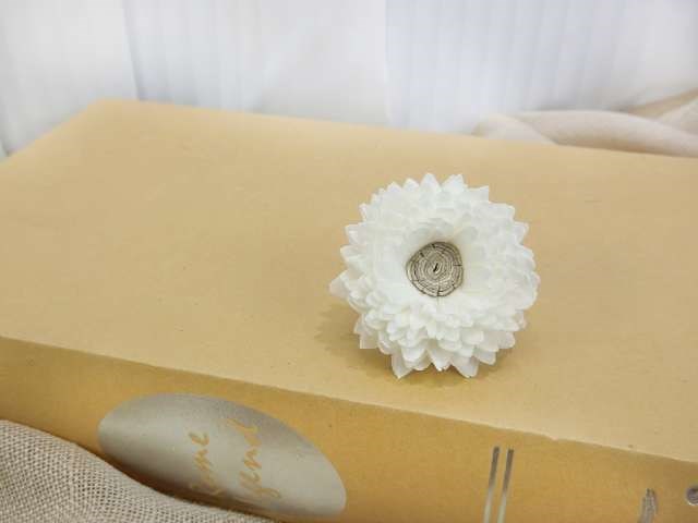 泰國索拉重瓣雛菊白心5cm(10入白