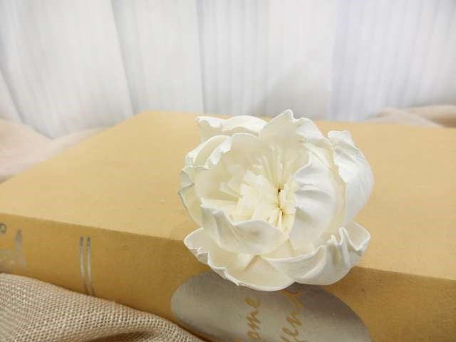 泰國索拉牡丹6cm (10入)白