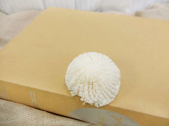 泰國索拉圓滿花  5cm(10入)白