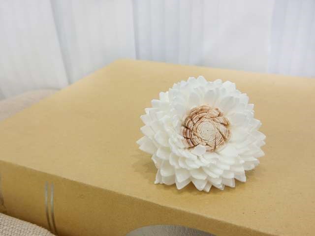 泰國索拉重瓣雛菊粉心5cm(10入白