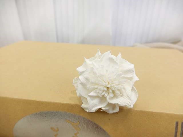 泰國索拉嘉得利亞4cm(10入)白