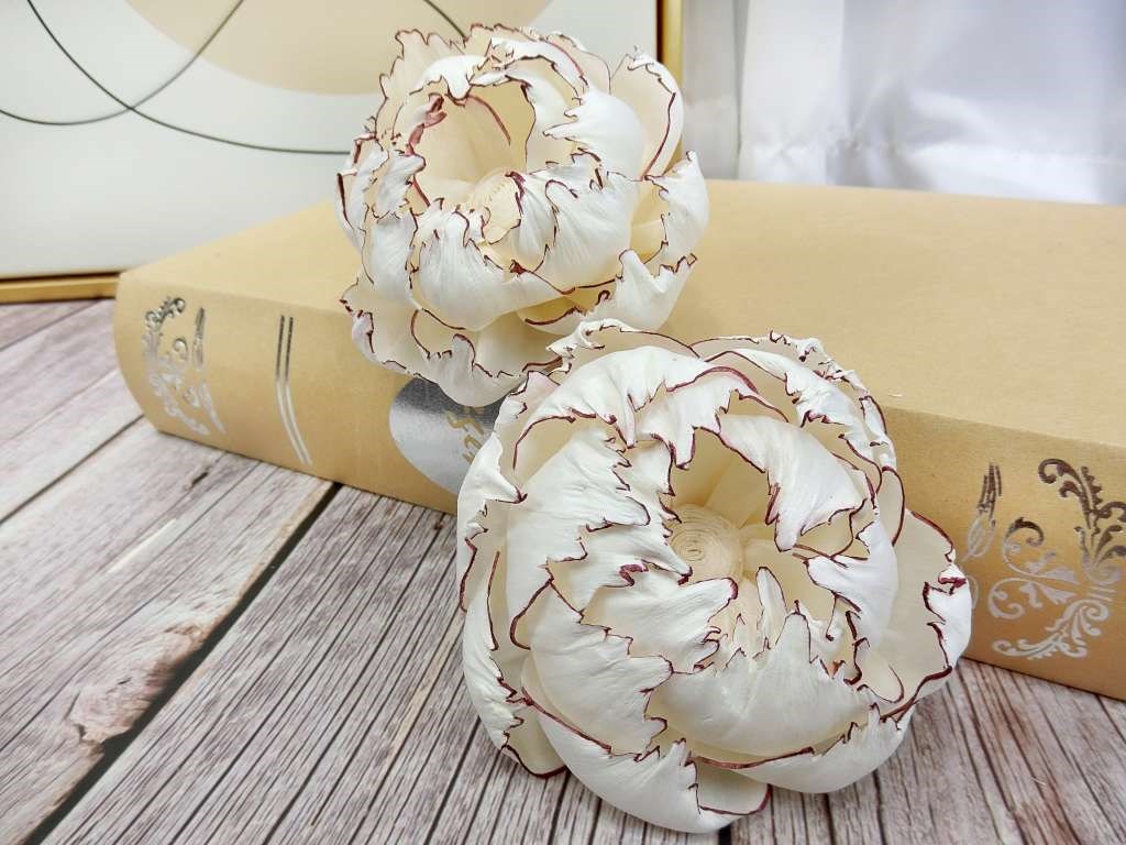 泰國紅邊牡丹9cm(3入)白