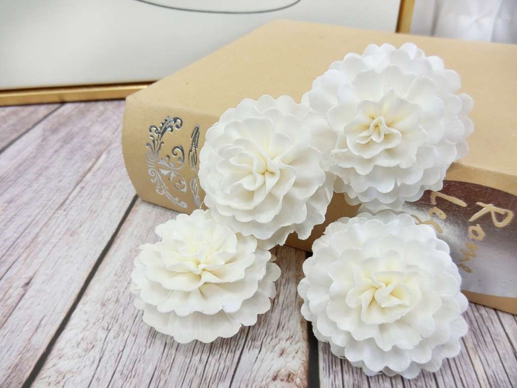 泰國貝力康乃馨5cm(10入)白