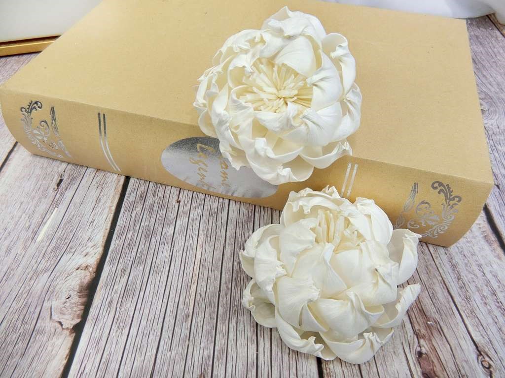 泰國芍藥牡丹8cm(5入)白